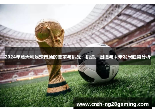 2024年意大利足球市场的变革与挑战：机遇、困境与未来发展趋势分析