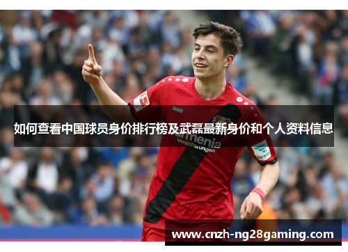 如何查看中国球员身价排行榜及武磊最新身价和个人资料信息