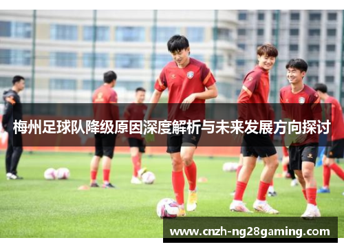 梅州足球队降级原因深度解析与未来发展方向探讨