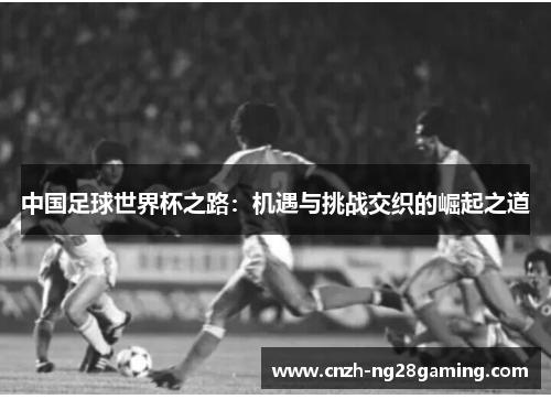 中国足球世界杯之路：机遇与挑战交织的崛起之道