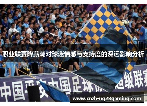 职业联赛降薪潮对球迷情感与支持度的深远影响分析