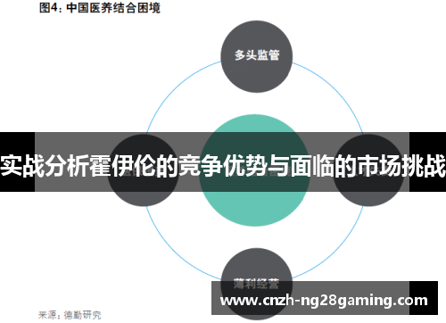 实战分析霍伊伦的竞争优势与面临的市场挑战