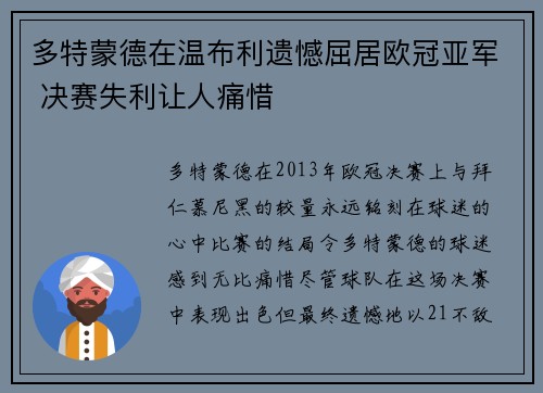 多特蒙德在温布利遗憾屈居欧冠亚军 决赛失利让人痛惜
